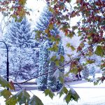 Quelle: Bad Hévíz Fremdenverkehrsamt Quelle: Bad Hévíz Fremdenverkehrsamt