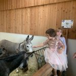 Das Gut Aiderbichl mehr als nur ein Gnadenhof Das Gut Aiderbichl mehr als nur ein Gnadenhof