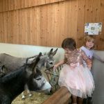 Das Gut Aiderbichl mehr als nur ein Gnadenhof Das Gut Aiderbichl mehr als nur ein Gnadenhof