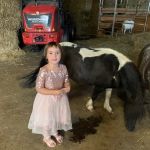 Das Gut Aiderbichl mehr als nur ein Gnadenhof Das Gut Aiderbichl mehr als nur ein Gnadenhof