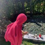 Ehrenhain ein Ort der Mahnung und Erinnerung Ehrenhain ein Ort der Mahnung und Erinnerung